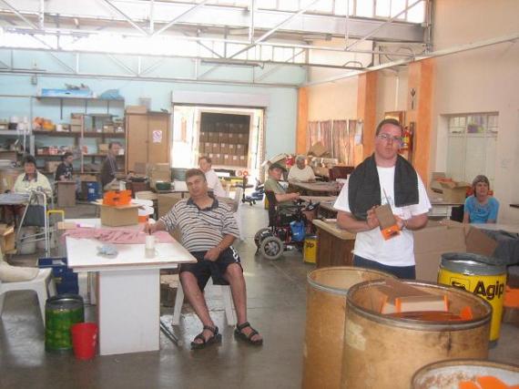 Workshop @ Forest Farm